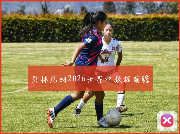 贝林厄姆2026世界杯数据前瞻